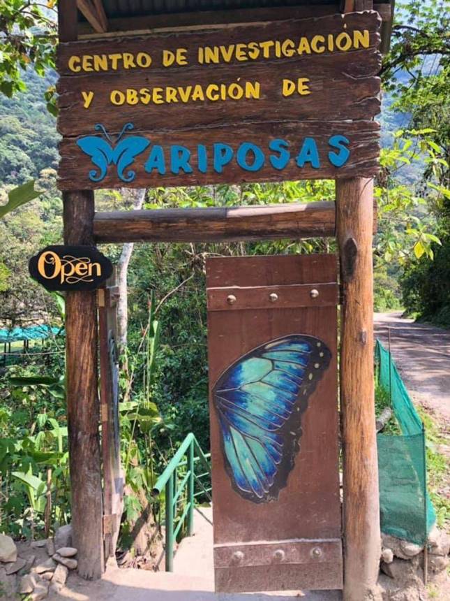 MARIPOSARO MACHUPICCHU