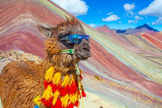 Vinicunca Sagrado – Montaña de Siete Colores y Conexión Espiritual | SGA Expeditions
