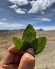 Tour místico Cusco 2 días